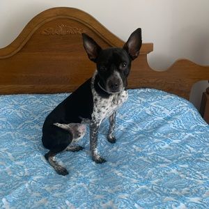 Meet your Posher, Jacob